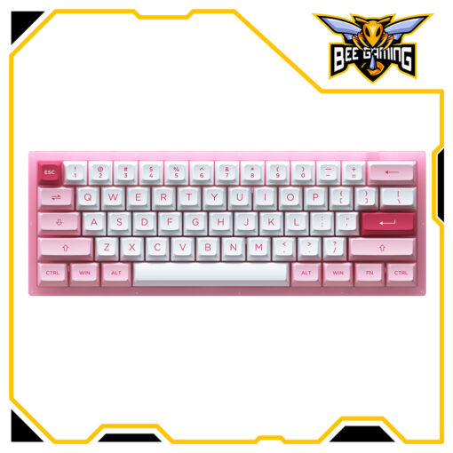 ban-phim-co-akko-acr61-pink-hotswap-jelly-pink-beegaming-14