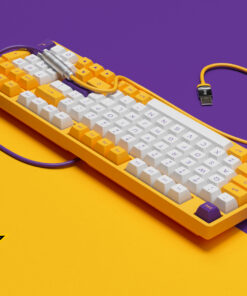 Dây cáp custom AKKO v2 ( Los Angeles)