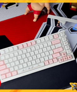 bo-keycap-meo-chii-thick-pbt-xda-profile-beegaming-4