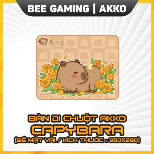 ban-di-chuot-akko-capybara-beegaming-1