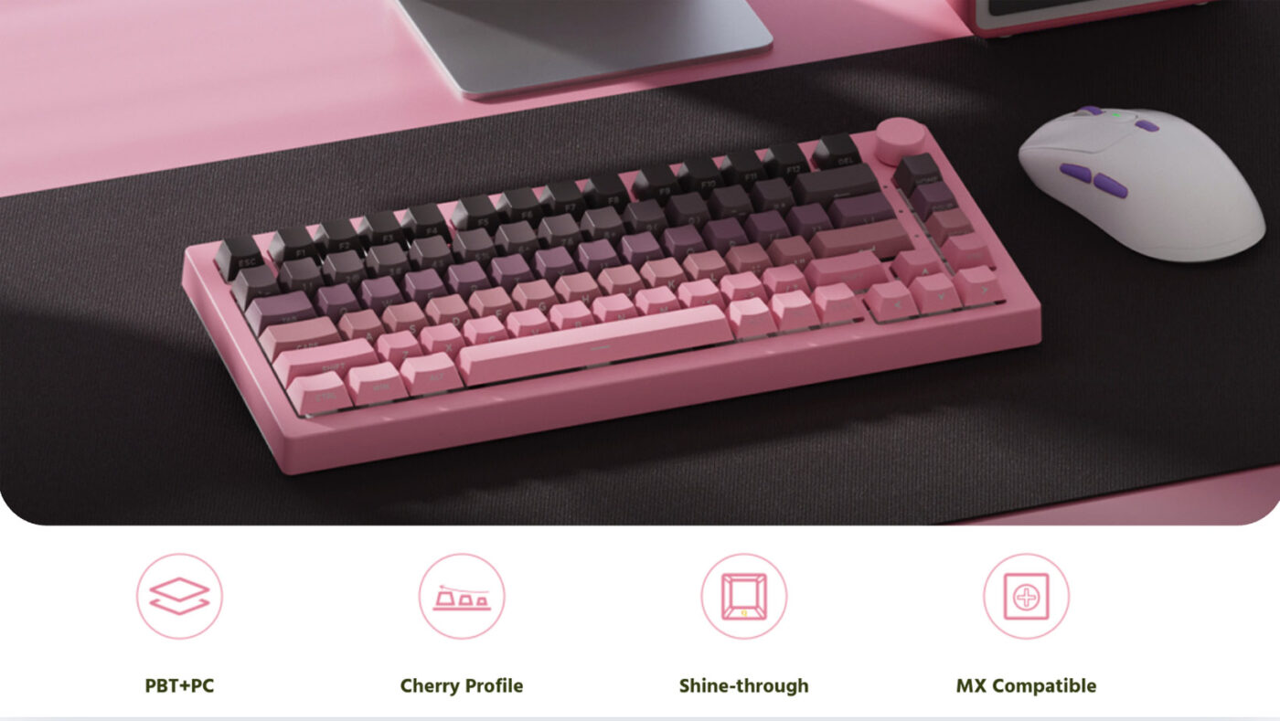 bo-keycap-veekos-black-pink-gradient-beegaming