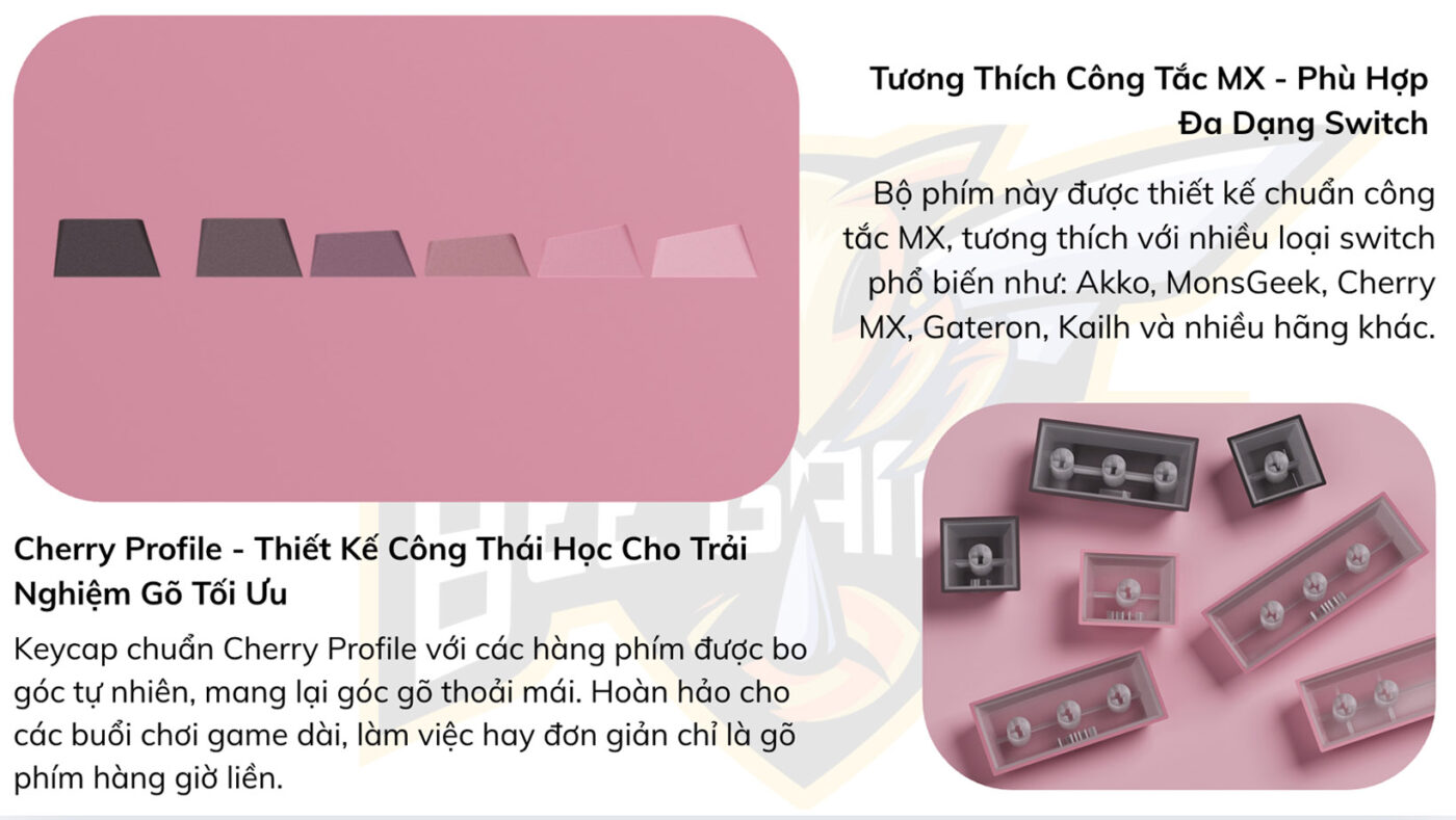 bo-keycap-veekos-black-pink-gradient-beegaming