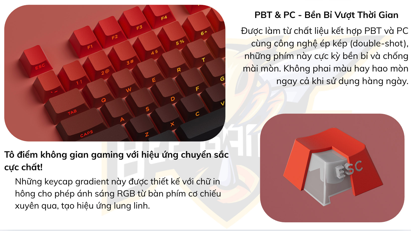 bo-keycap-veekos-blaze-gradient-beegaming