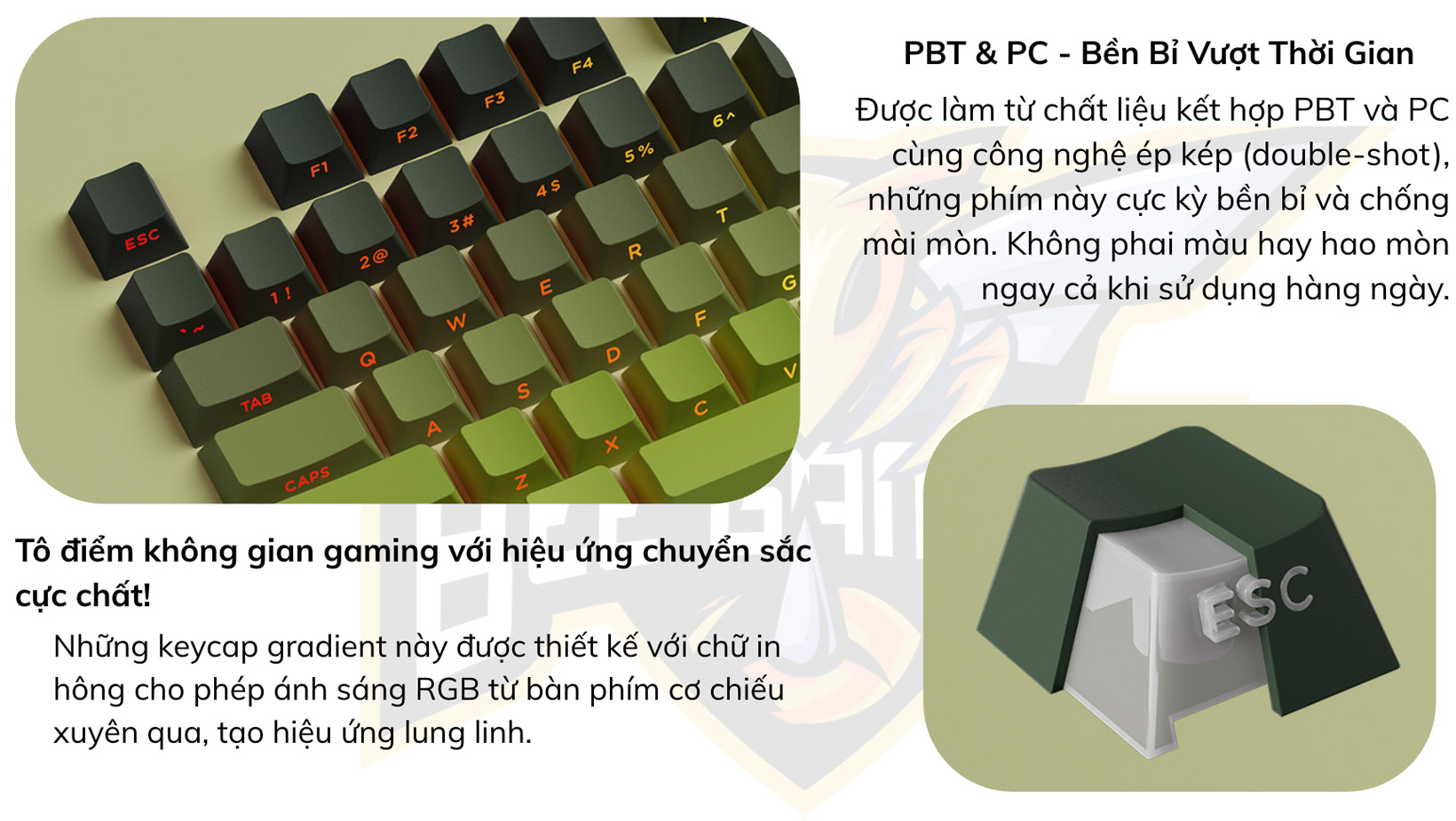 bo-keycap-veekos-forest-gradient-beegaming